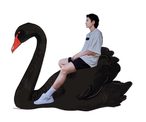 blackswan_zhe